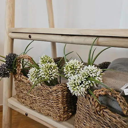 Apartman Boho Boutique *