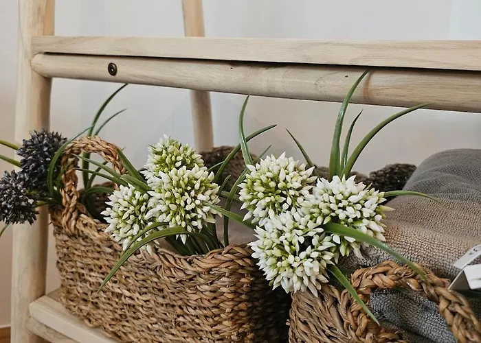 Apartman Boho Boutique *