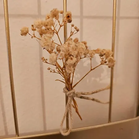Boho Boutique 아파트 그라츠